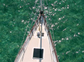 View from the spreaders